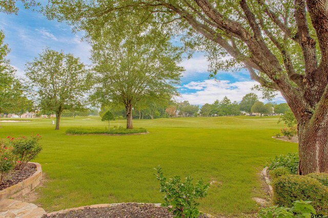 210 Bayhills Dr, Hideaway, TX 75771 - photo 46
