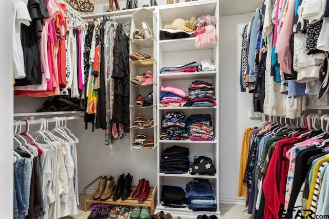 view of walk in closet