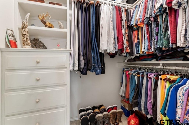 view of walk in closet