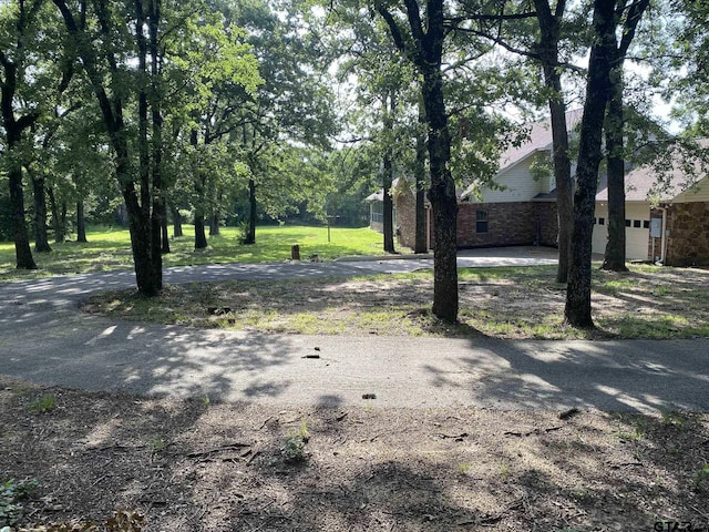 5304 Cedar Creek Dr, Kemp, TX 75143 - view of yard with driveway