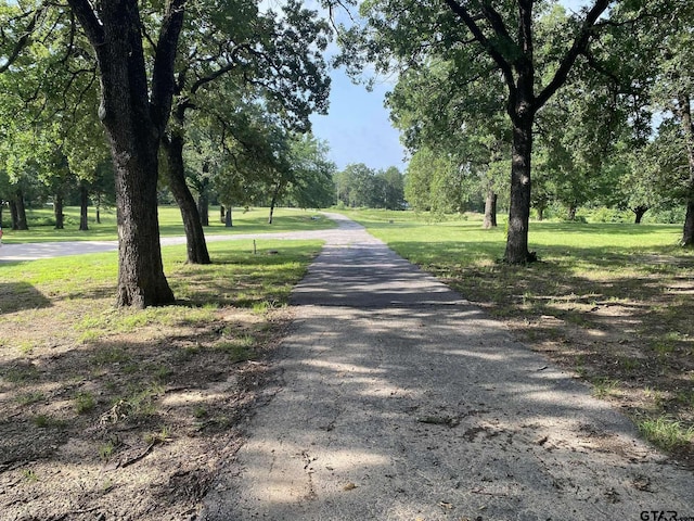 5304 Cedar Creek Dr, Kemp, TX 75143 - view of road