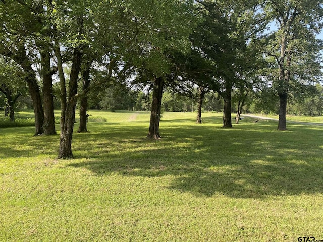 5304 Cedar Creek Dr, Kemp, TX 75143 - view of grassy yard