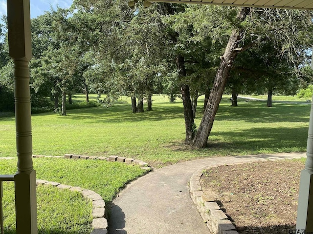 5304 Cedar Creek Dr, Kemp, TX 75143 - view of green lawn