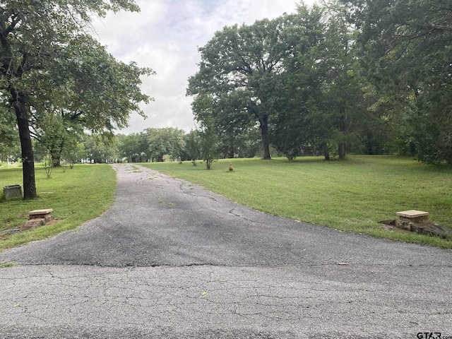 5304 Cedar Creek Dr, Kemp, TX 75143 - view of street