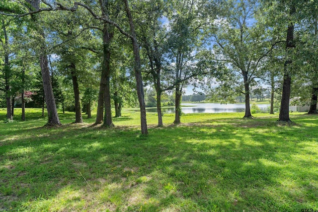 14484 Garden Valley Dr, Lindale, TX 75771 - photo 4