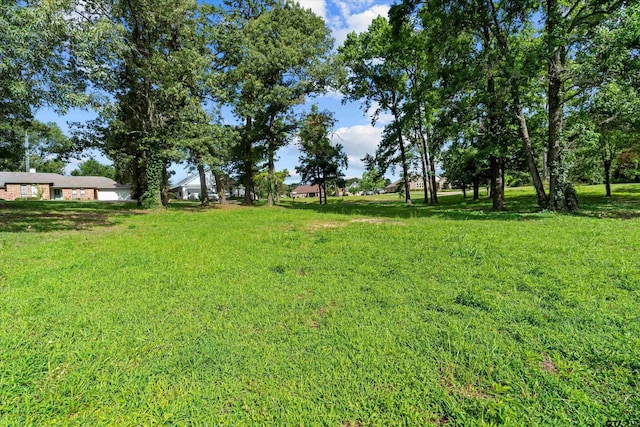 14484 Garden Valley Dr, Lindale, TX 75771 - photo 8