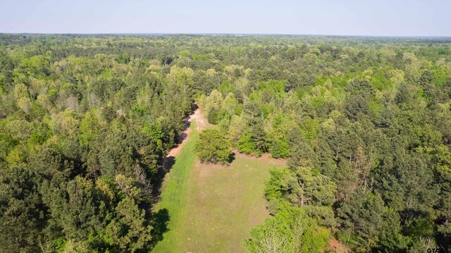 TBD Fm 852, Winnsboro, TX 75494 - photo 17