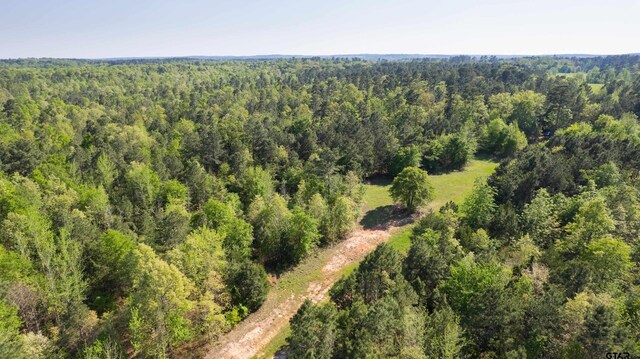 TBD Fm 852, Winnsboro, TX 75494 - photo 18