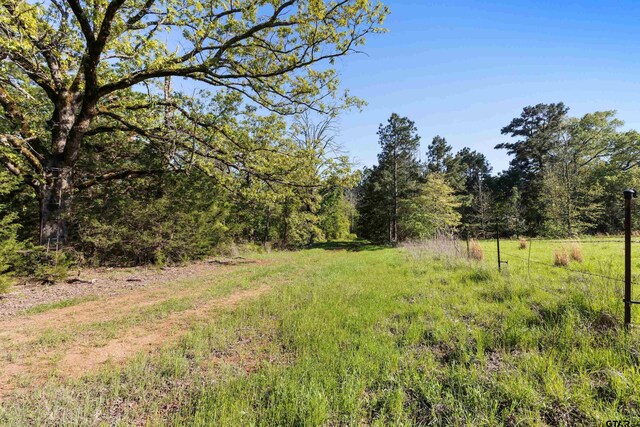 TBD Fm 852, Winnsboro, TX 75494 - photo 6