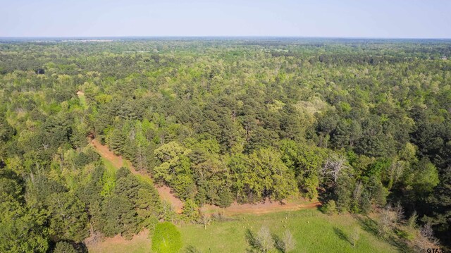 TBD Fm 852, Winnsboro, TX 75494 - photo 23