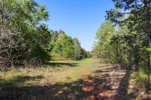 TBD Fm 852, Winnsboro, TX 75494 - photo 12