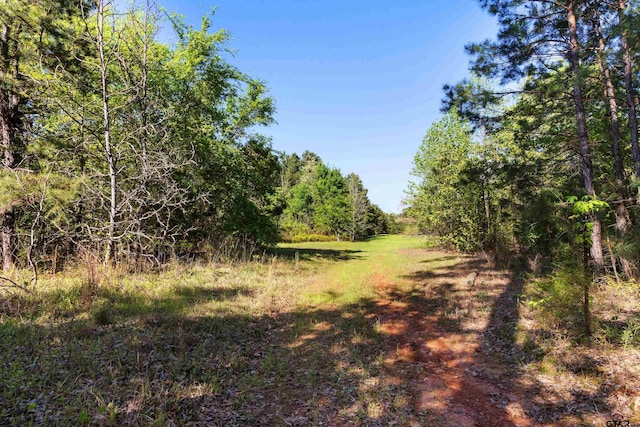 TBD Fm 852, Winnsboro, TX 75494 - photo 4