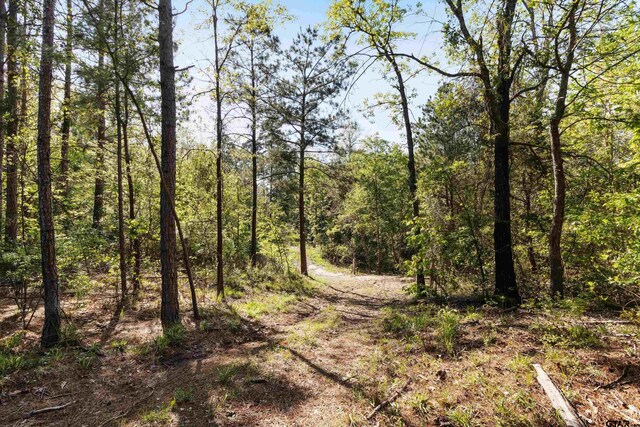 TBD Fm 852, Winnsboro, TX 75494 - photo 3