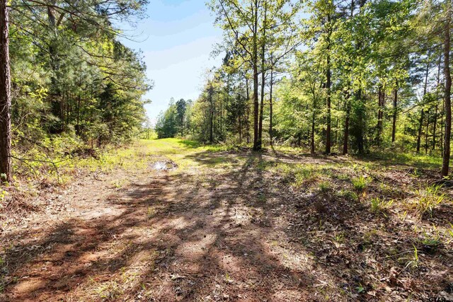 TBD Fm 852, Winnsboro, TX 75494 - photo 2