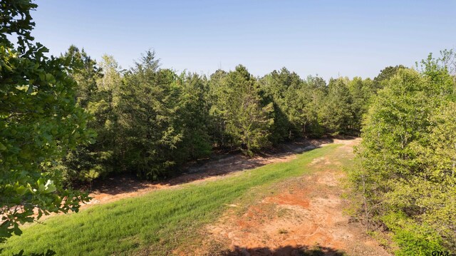 TBD Fm 852, Winnsboro, TX 75494 - photo 13