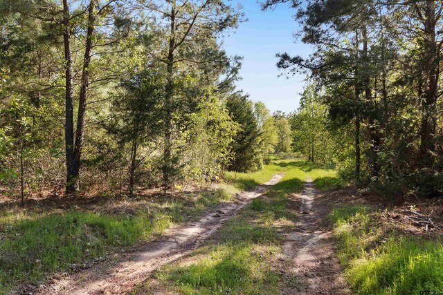 TBD Fm 852, Winnsboro, TX 75494 - photo 9