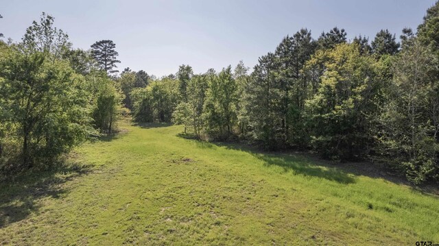 TBD Fm 852, Winnsboro, TX 75494 - photo 14
