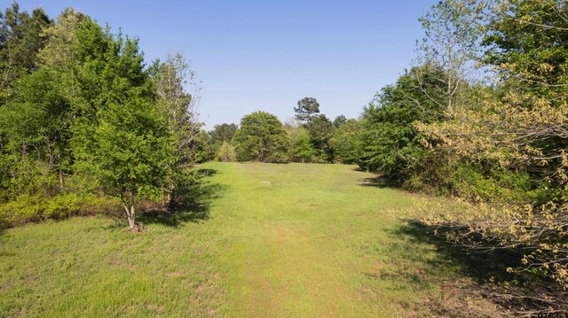 TBD Fm 852, Winnsboro, TX 75494 - photo 15