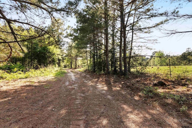 TBD Fm 852, Winnsboro, TX 75494 - photo 8