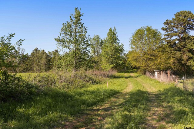 TBD Fm 852, Winnsboro, TX 75494 - photo 11