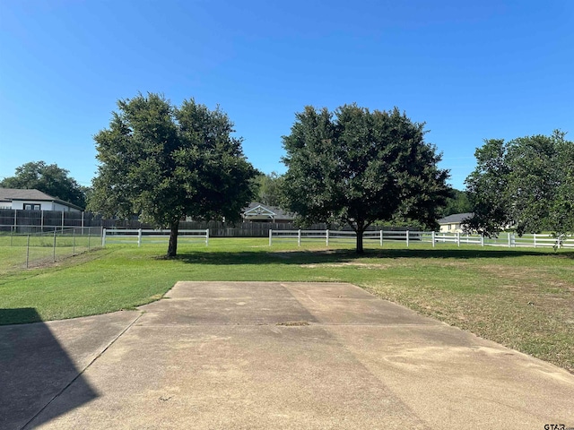 view of yard featuring a patio area