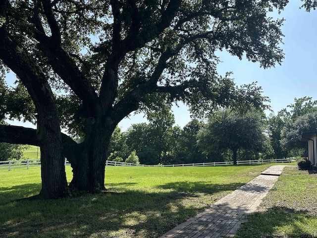 1248 Canada St, Jacksonville, TX 75766 - view of yard