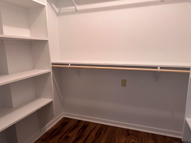 spacious closet with dark wood-type flooring