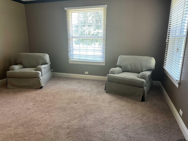 1248 Canada St, Jacksonville, TX 75766 - sitting room featuring plenty of natural light, carpet flooring, and baseboards