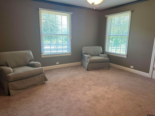 living area with ceiling fan, light carpet, and ornamental molding