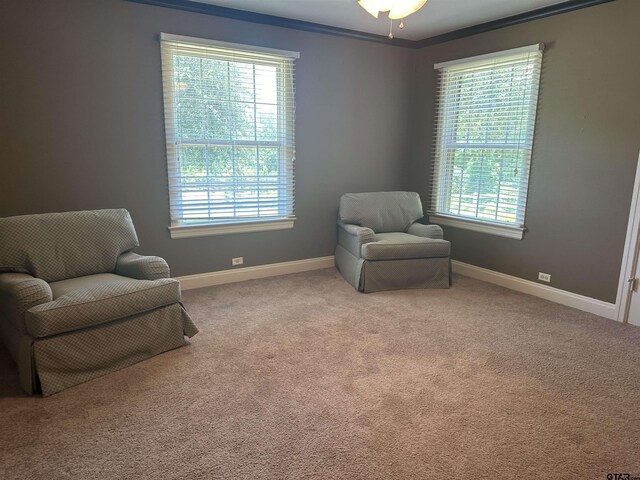 1248 Canada St, Jacksonville, TX 75766 - sitting room featuring plenty of natural light, baseboards, and carpet