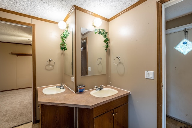 bathroom featuring vanity, a textured ceiling, and crown molding