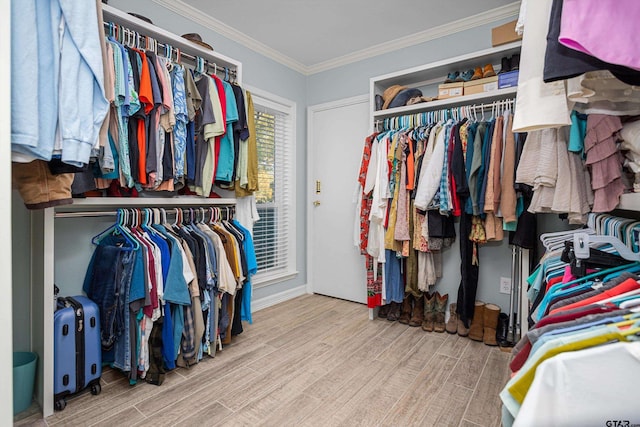 walk in closet with light hardwood / wood-style flooring