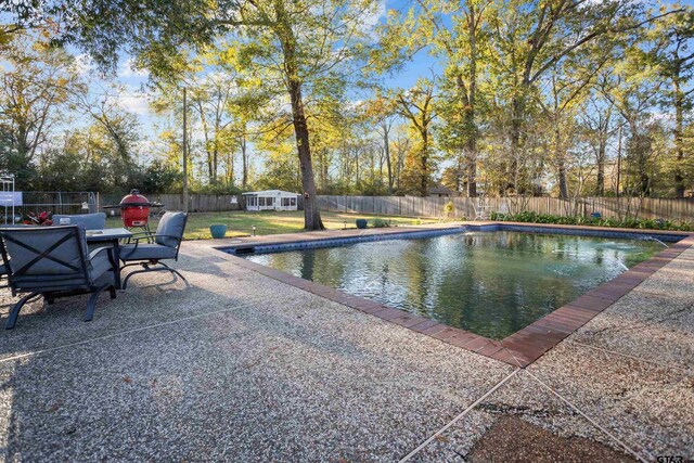 view of pool featuring a patio area and a yard