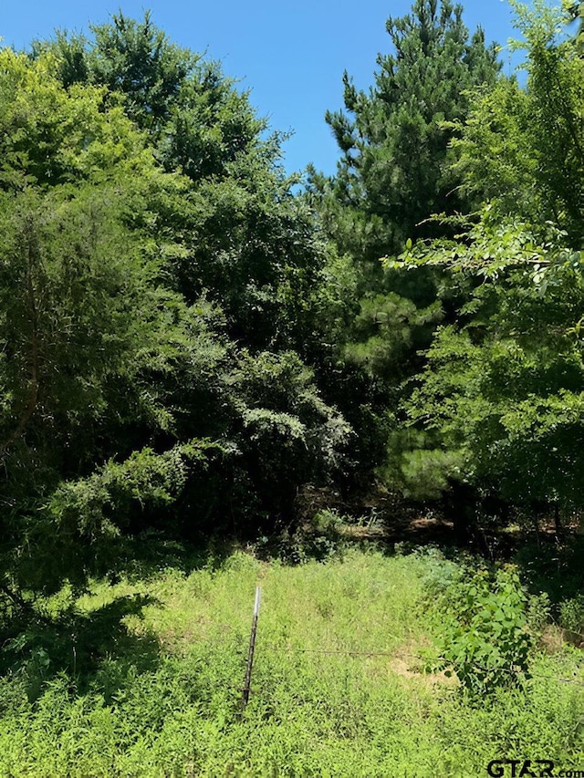 17728 E Fm 346, Troup, TX 75789 - photo 9
