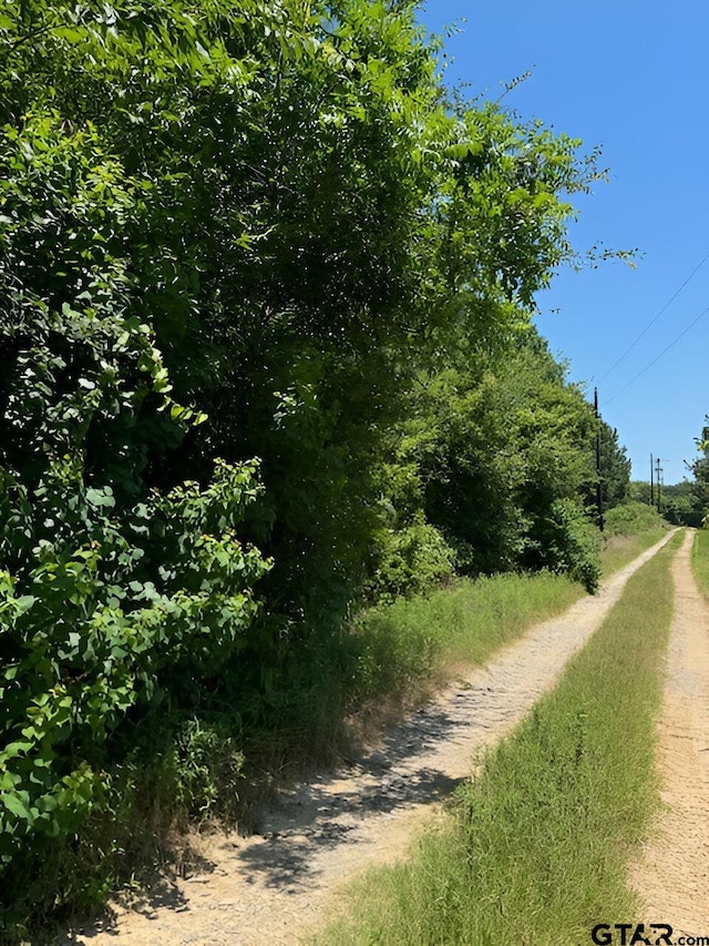 17728 E Fm 346, Troup, TX 75789 - photo 6