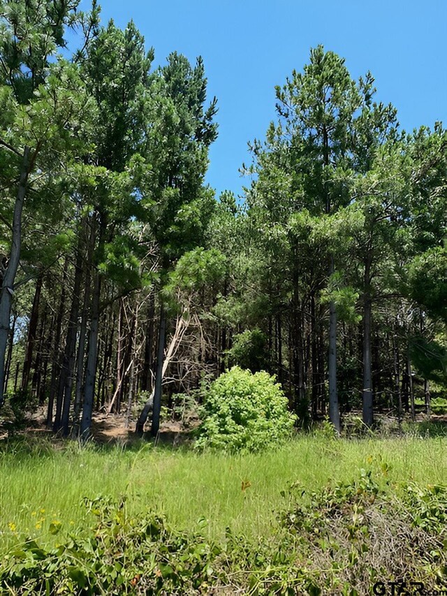 17728 E Fm 346, Troup, TX 75789 - photo 11