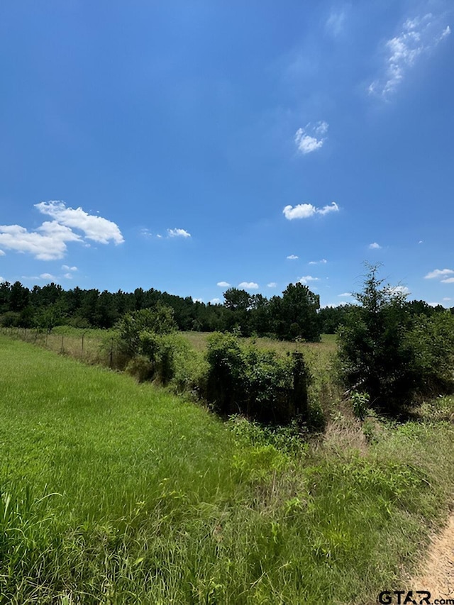 17728 E Fm 346, Troup, TX 75789 - photo 1