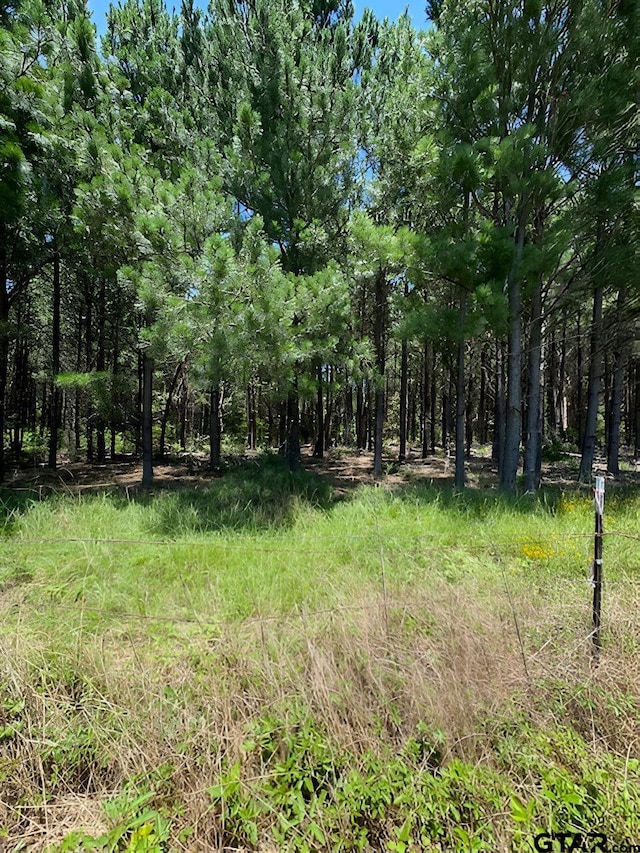 17728 E Fm 346, Troup, TX 75789 - photo 13