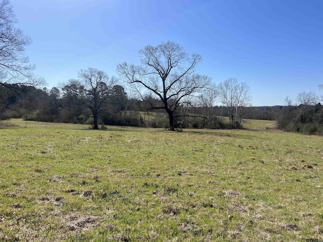 Listing photo 2 for TBD Highway 11, Hughes Springs TX 75656