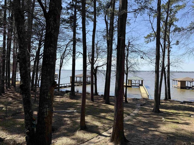 view of yard with a water view and a boat dock