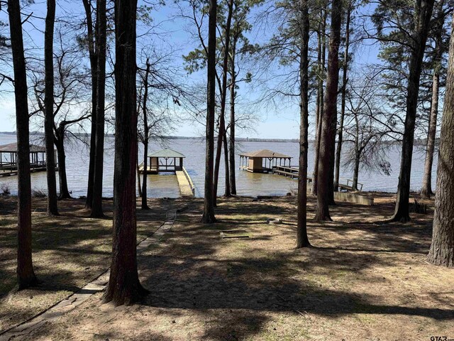 view of yard with a water view and a boat dock