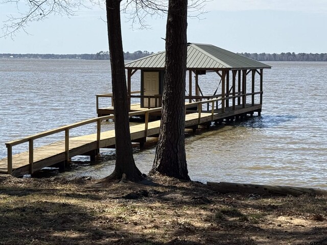 dock area with a water view