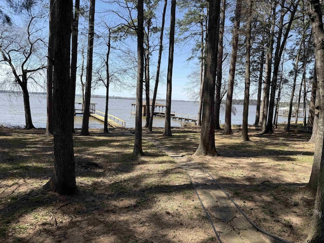 water view featuring a boat dock