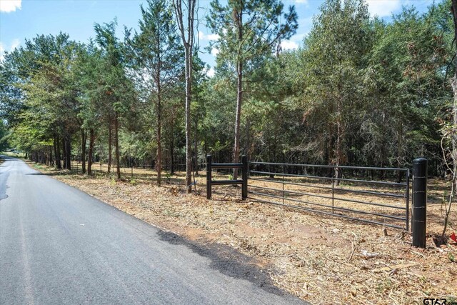 TRACT2 County Road 484, Mineola TX, 75773 land for sale