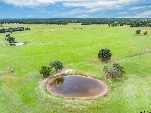 TBD Fm 279, Edom, TX 75754 - photo 14
