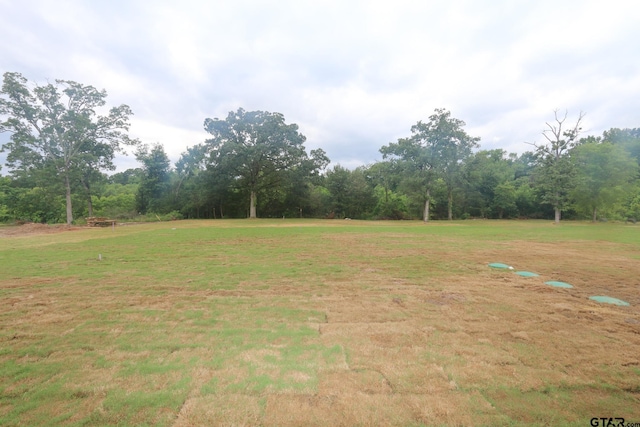 16511 Cooper Way, Tyler, TX 75703 - view of grassy yard