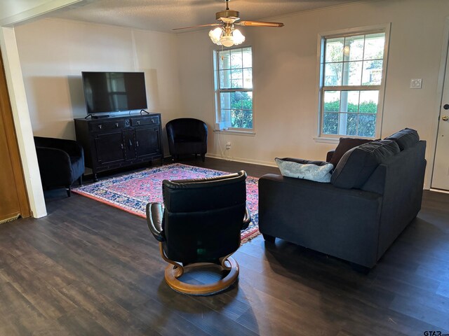 114 Briar Ln, Crockett, TX 75835 - living room with dark wood-type flooring, ceiling fan, and ornamental molding