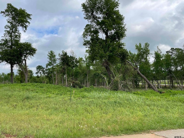 Listing photo 3 for TBD Live Oak, Alto TX 75925