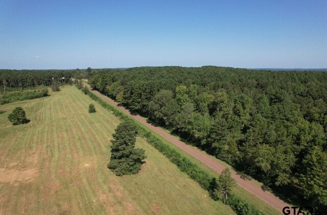 TBD Cr 3198, Mount Enterprise, TX 75681 - photo 5