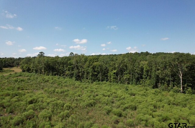 TBD Cr 3198, Mount Enterprise, TX 75681 - photo 8